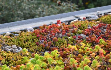 the cost of Cosham green roof installation
