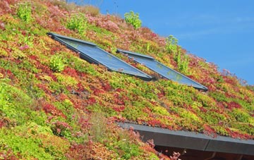 Cosham living roof systems